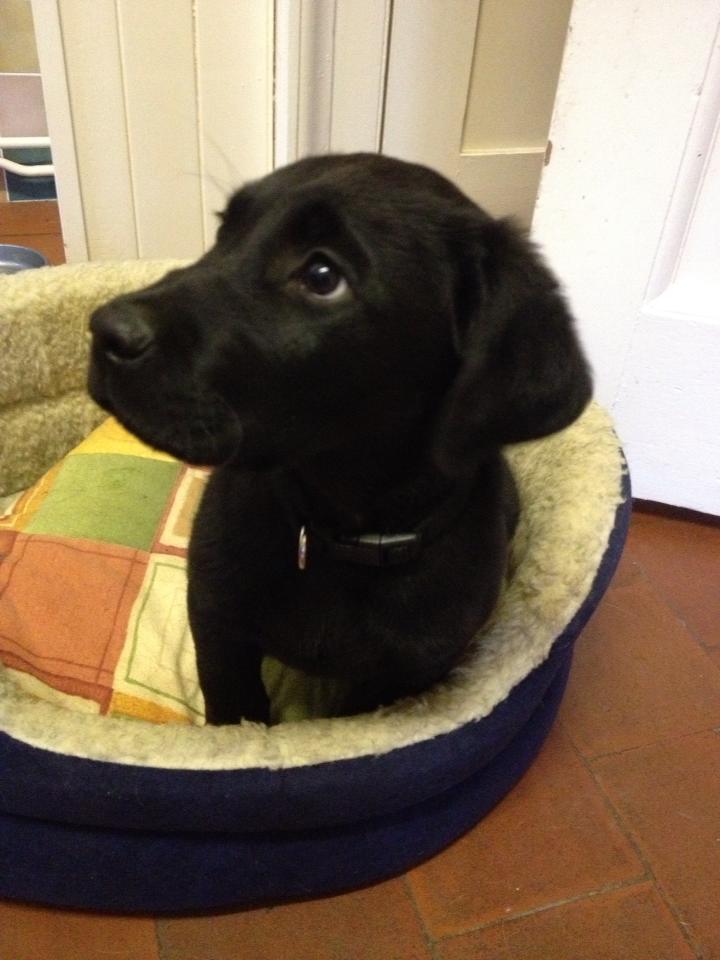 Monty