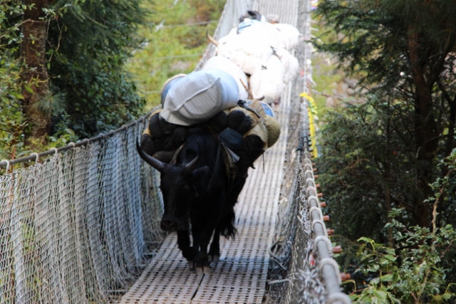Bridge over Dudh Kosi