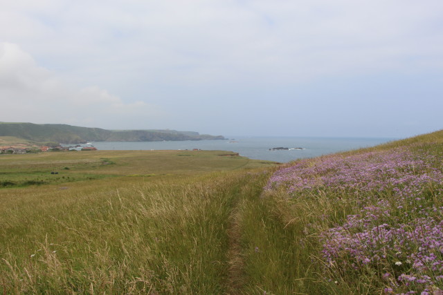 Spain - Asturias 008