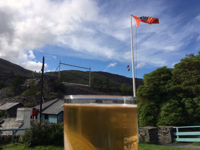 Zip World Pub