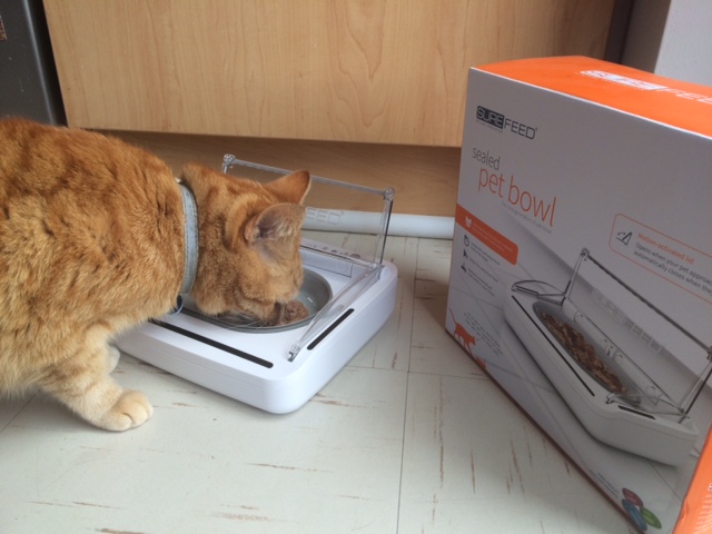 SureFeed Sealed Pet Bowl