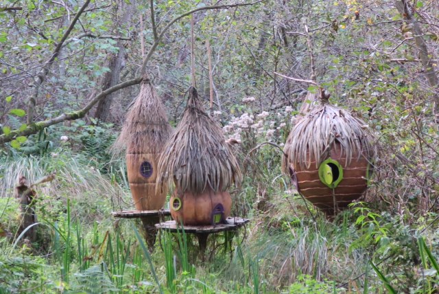 BeWILDerwood