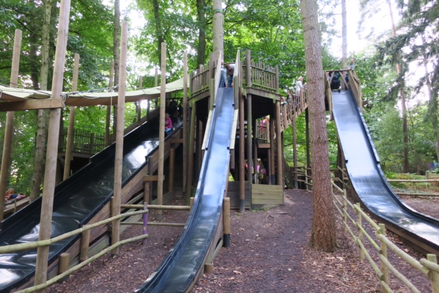 BeWILDerwood