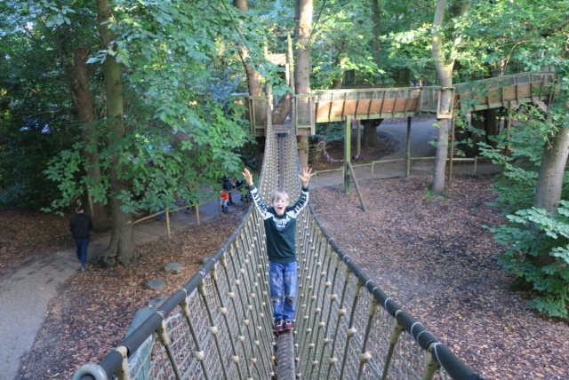 BeWILDerwood